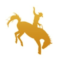 District Logo